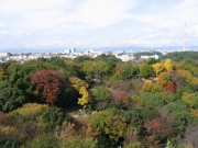 hamamatujo_03