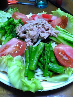 サラダうどん