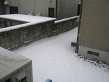 snow.jpg