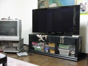 CIMG0224